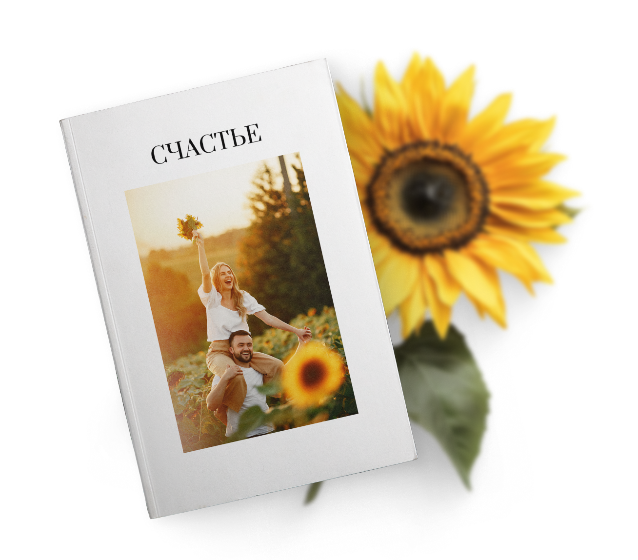 Изображение главного слайдера