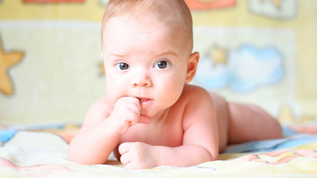 Младенец от 2 до 3 месяцев. Чем с ним заниматься - статья из серии «Раннее развитие»