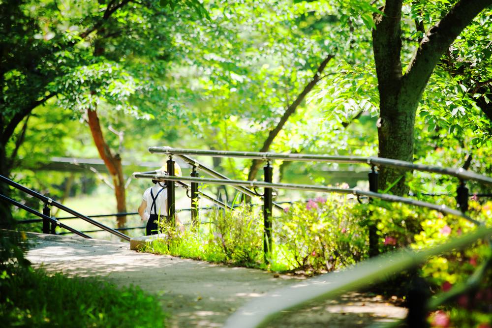 4 tpath-amidst-trees-park.jpg